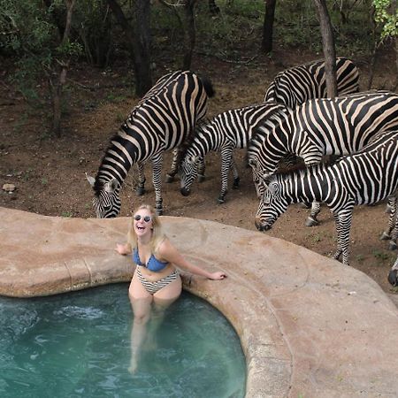 Kruger Park Hostel Marloth Park Exteriör bild