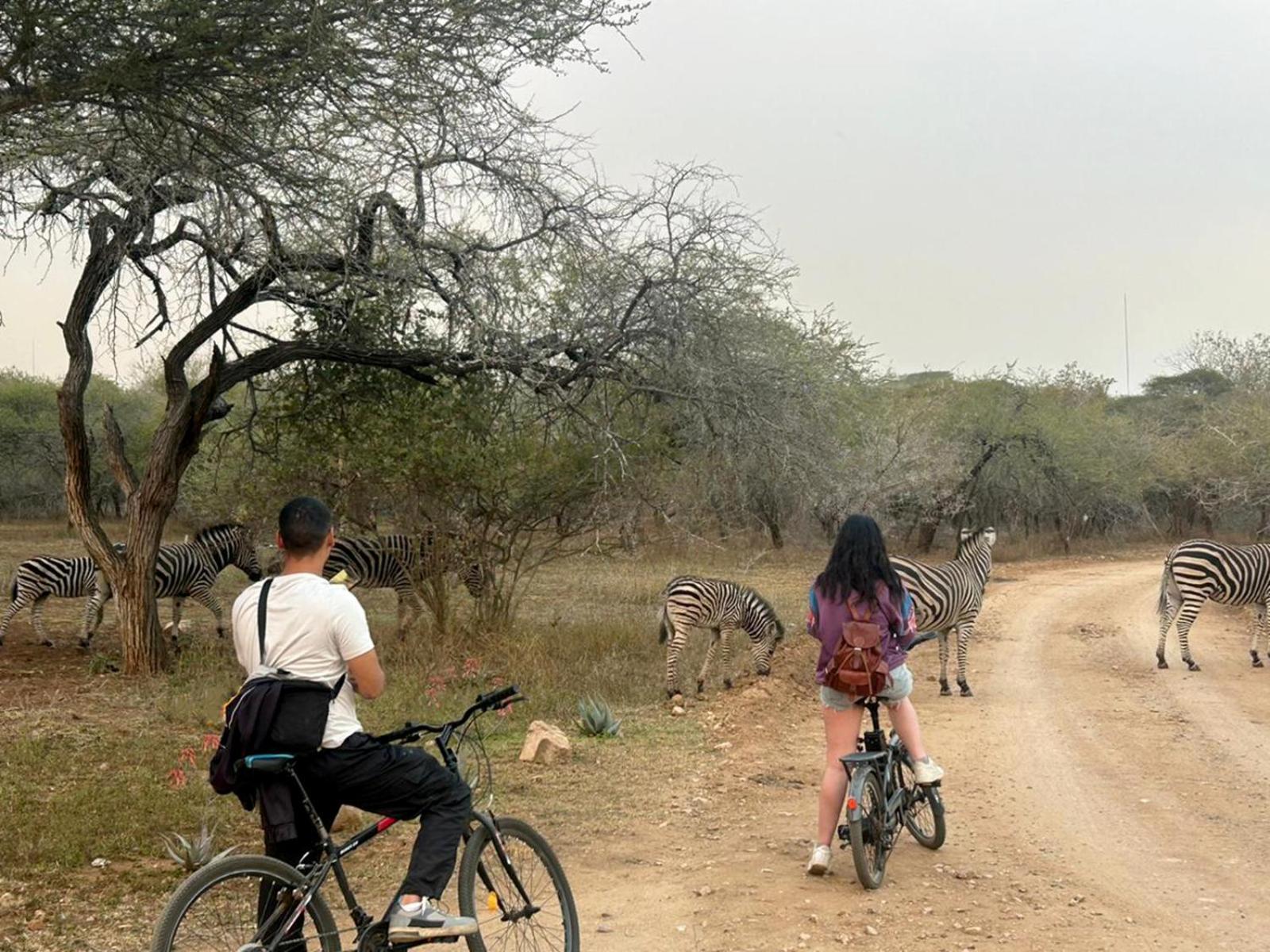 Kruger Park Hostel Marloth Park Exteriör bild